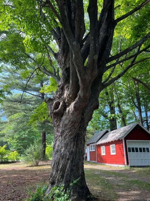 Schoolhouse No. 11 * Hudson Valley Upstate Getaway Stone Ridge ภายนอก รูปภาพ